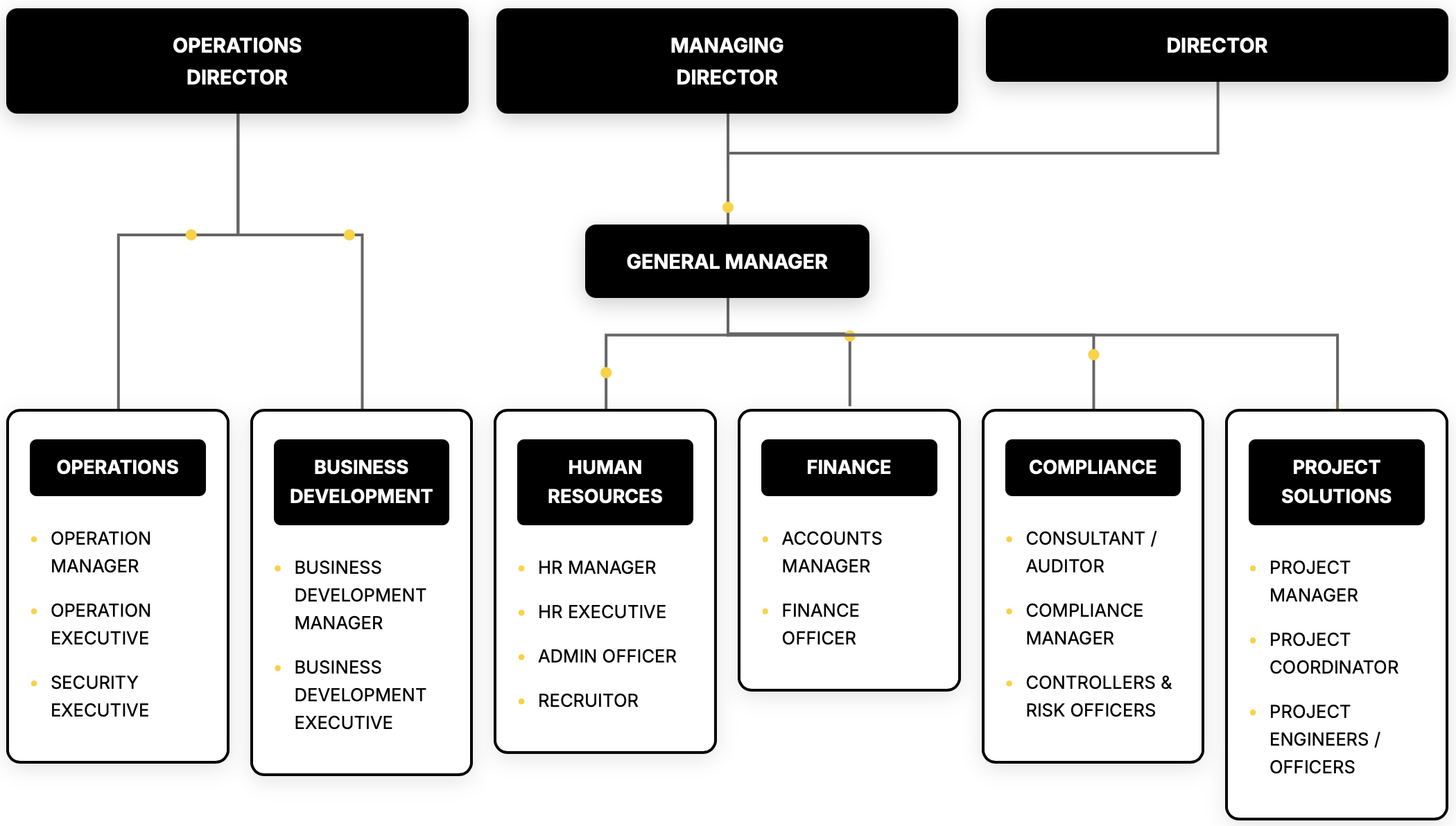 SecureOne Solutions Organizational Structure